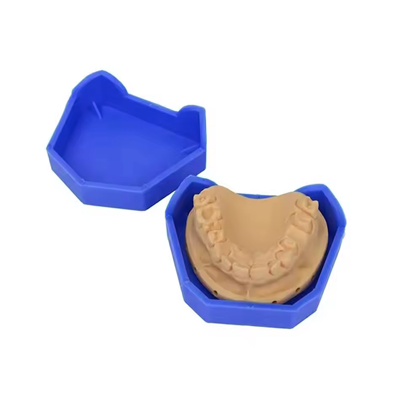 2/6 pçs modelo dental base de  - Teeth Whitening Tray avaliação e preço