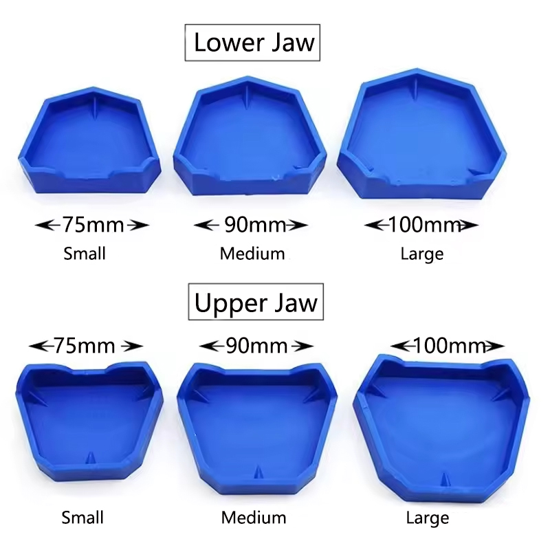 2/6 pçs modelo dental base de  - Teeth Whitening Tray avaliação e preço