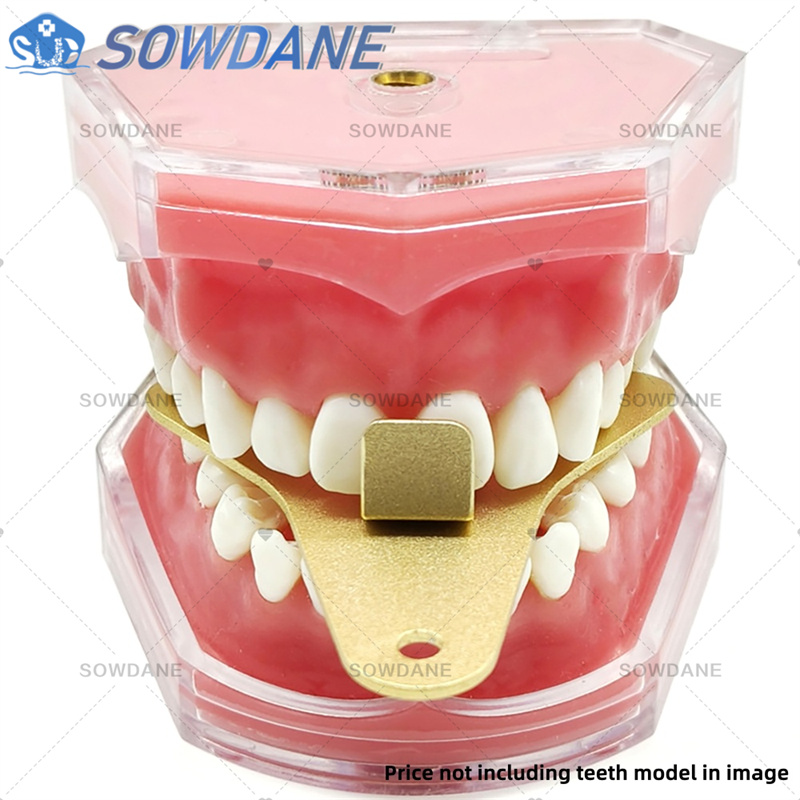 Bandejas de impressão de labor - Teeth Whitening Tray avaliação e preço