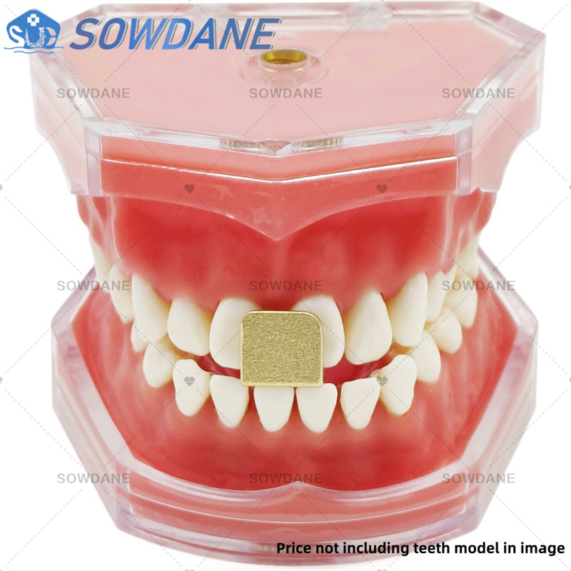 Bandejas de impressão de labor - Teeth Whitening Tray avaliação e preço