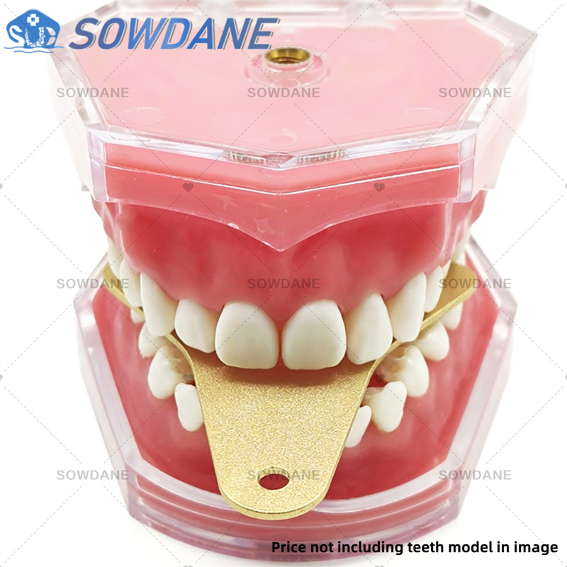 Bandejas de impressão de labor - Teeth Whitening Tray avaliação e preço