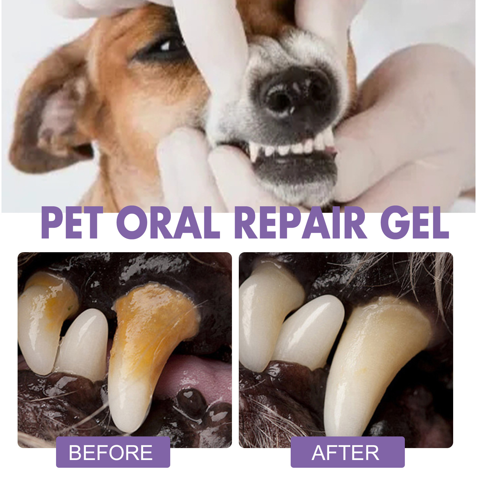 Gel de reparação oral para ani - Teeth Whitening Q&M avaliação e preço