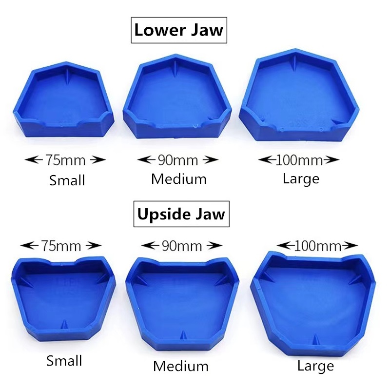 6 pçs/set modelo dental base d - Teeth Whitening Tray avaliação e preço